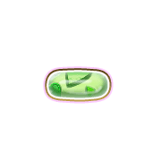 251