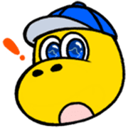 003