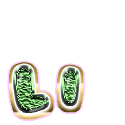 048