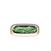 161