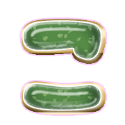 010