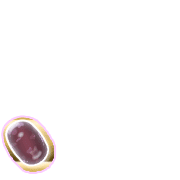 256