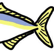 007