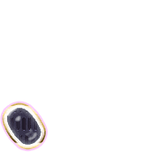 256
