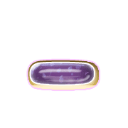 161