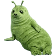 006