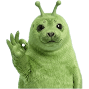 010