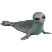 026