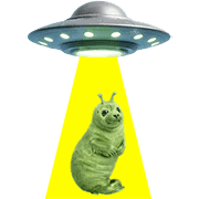 028