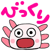 031