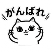 013