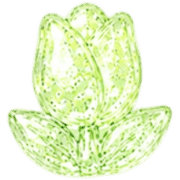 005