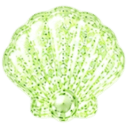 025