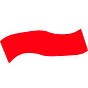 224