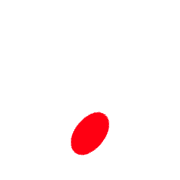 246