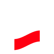250