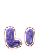 048