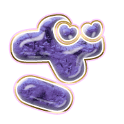 061
