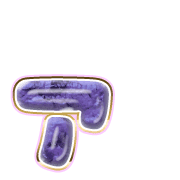 127