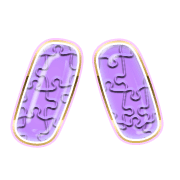 106