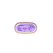 251