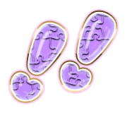 268