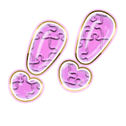268