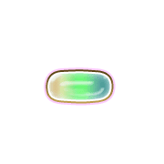 251