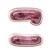 010
