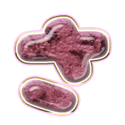 011