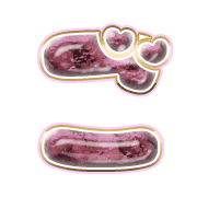 060
