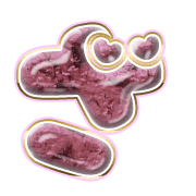 061