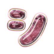 092