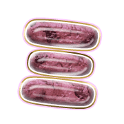 112