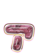 127