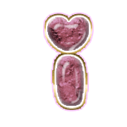 196