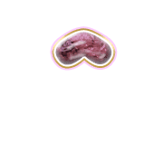 231