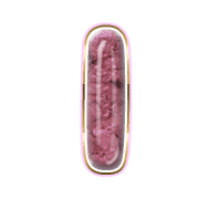 242