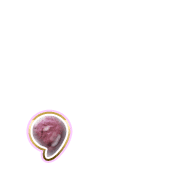 245