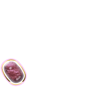 256