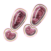 268