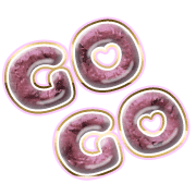 280