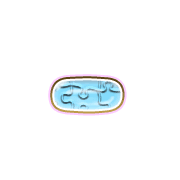 251