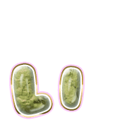 048