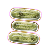 112