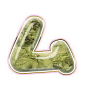 113