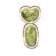 196