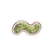 224