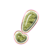 225