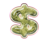 229